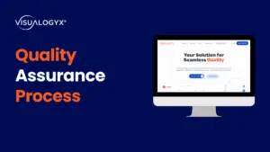 Quality Assurance Process By Visualogyx