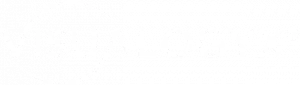 Logo Visualogyx Transparent White